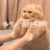 作者