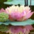 萬能龍?zhí)?/>
                                <p>萬能龍?zhí)?/p>
                            </a>
                        <a href=
