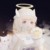 全部所有星座