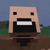 Notch