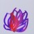 黑魔花之王