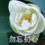 森皖妈妈