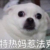 班主任