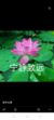 丁程鑫妈妈