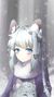 雪絨絨（作者）