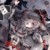 小希