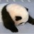 懒虫作者