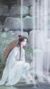 谢怜