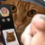 群众