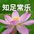 班主任