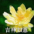 周遥
