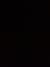 黑豆