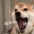 龙套