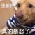 宋爸