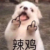 憨批作者