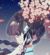 梅花十三