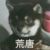 万能角色