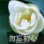 妈妈