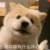 汪