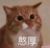 小伙伴2