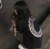 鹿柔儿