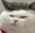 龙套