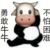 勇敢琳琳不怕困難