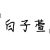白子萱（同学）
