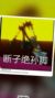 什么都是