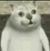主持人