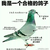 什么都是
