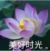 陳家老大