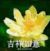 林母