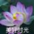 云深母親