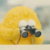 作者