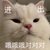 太医