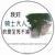 安迷修