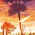 风送（作者）