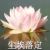 陆妈