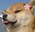 Dog人物
