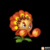 火柴花。