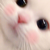 猫猫