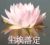 老师
