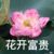 丁程鑫爸爸
