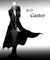 WDgaster