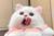 桃子