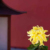 九熙母亲