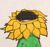 孙九芳