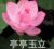 跑龍?zhí)?/>
                                <p>跑龍?zhí)?/p>
                            </a>
                        </div>
                    <a href=