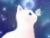 樱